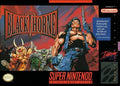 Blackthorne (Super Nintendo) - Game Manual Only