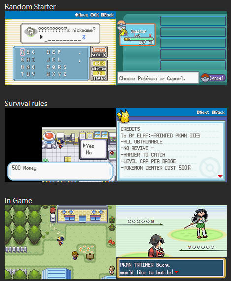 Pokemon Elaf Gold GBA Custom Pokemon ROM Hack Video Game Boy Advance
