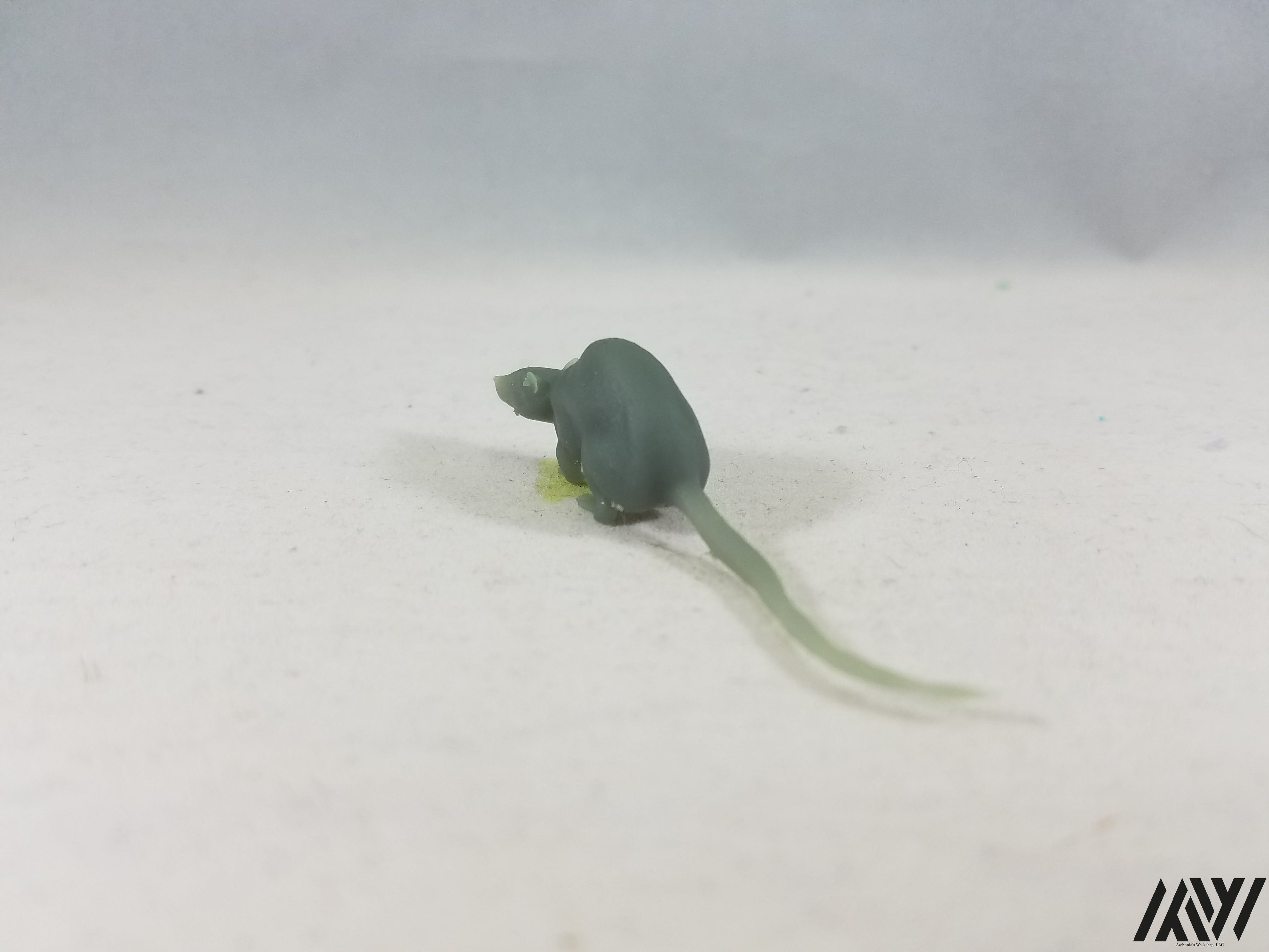 Large Rat