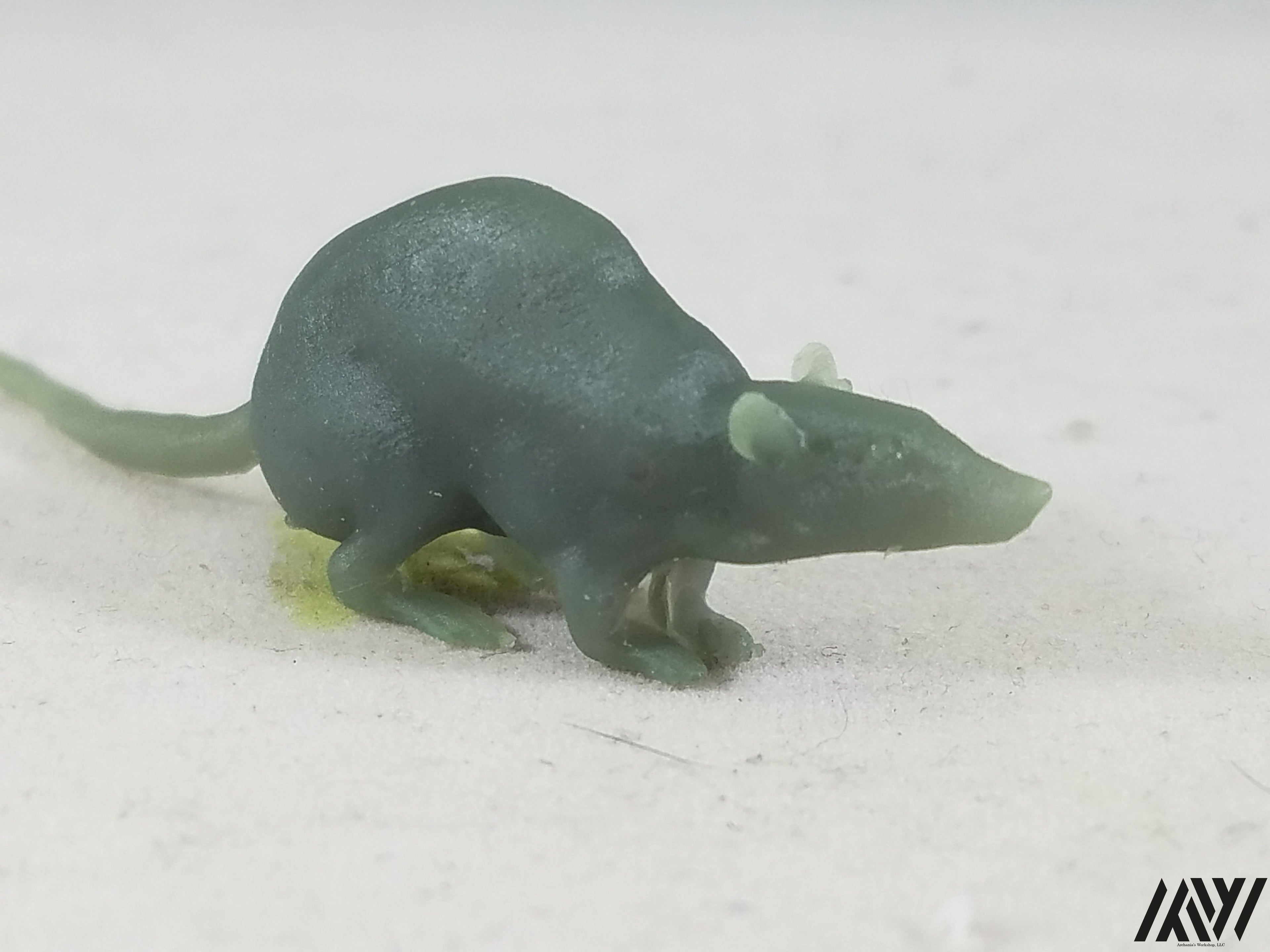 Large Rat