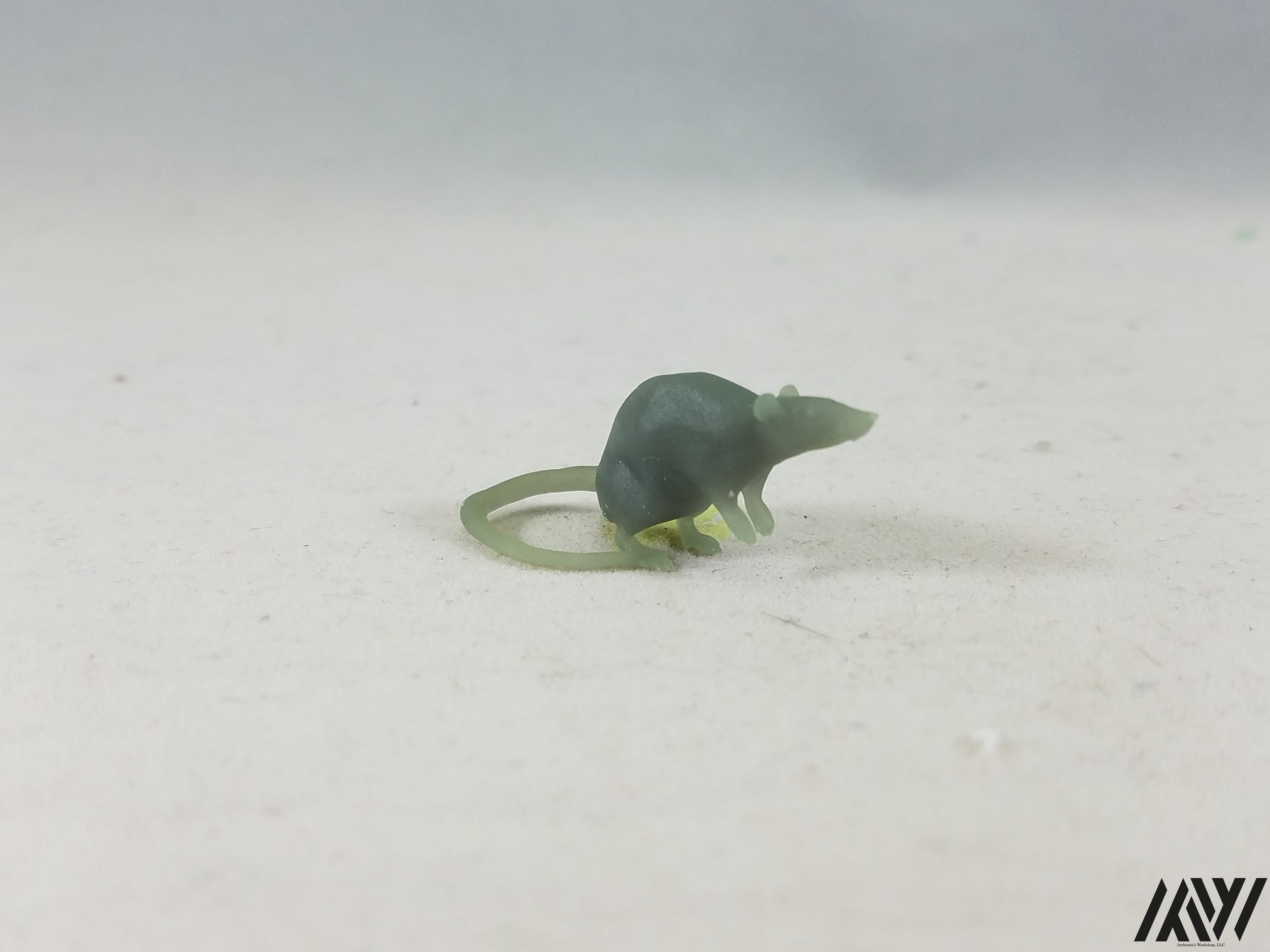 Small Rat