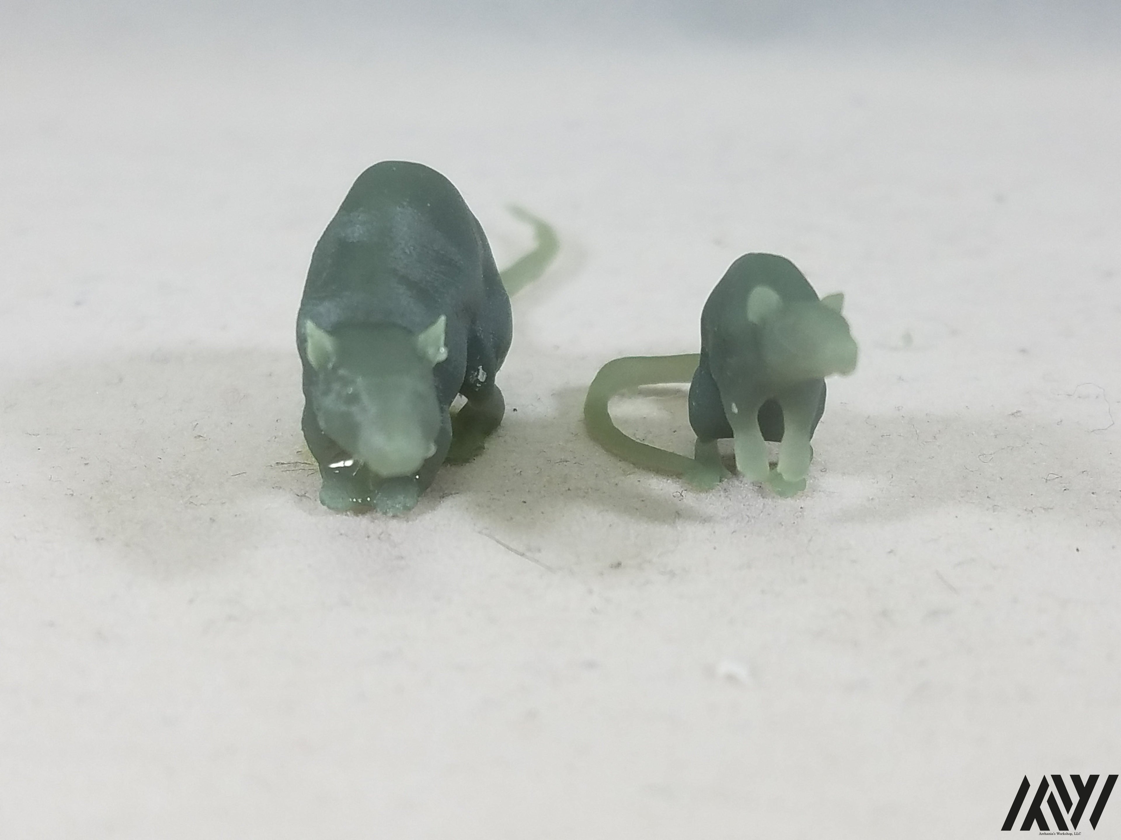 Rat Set