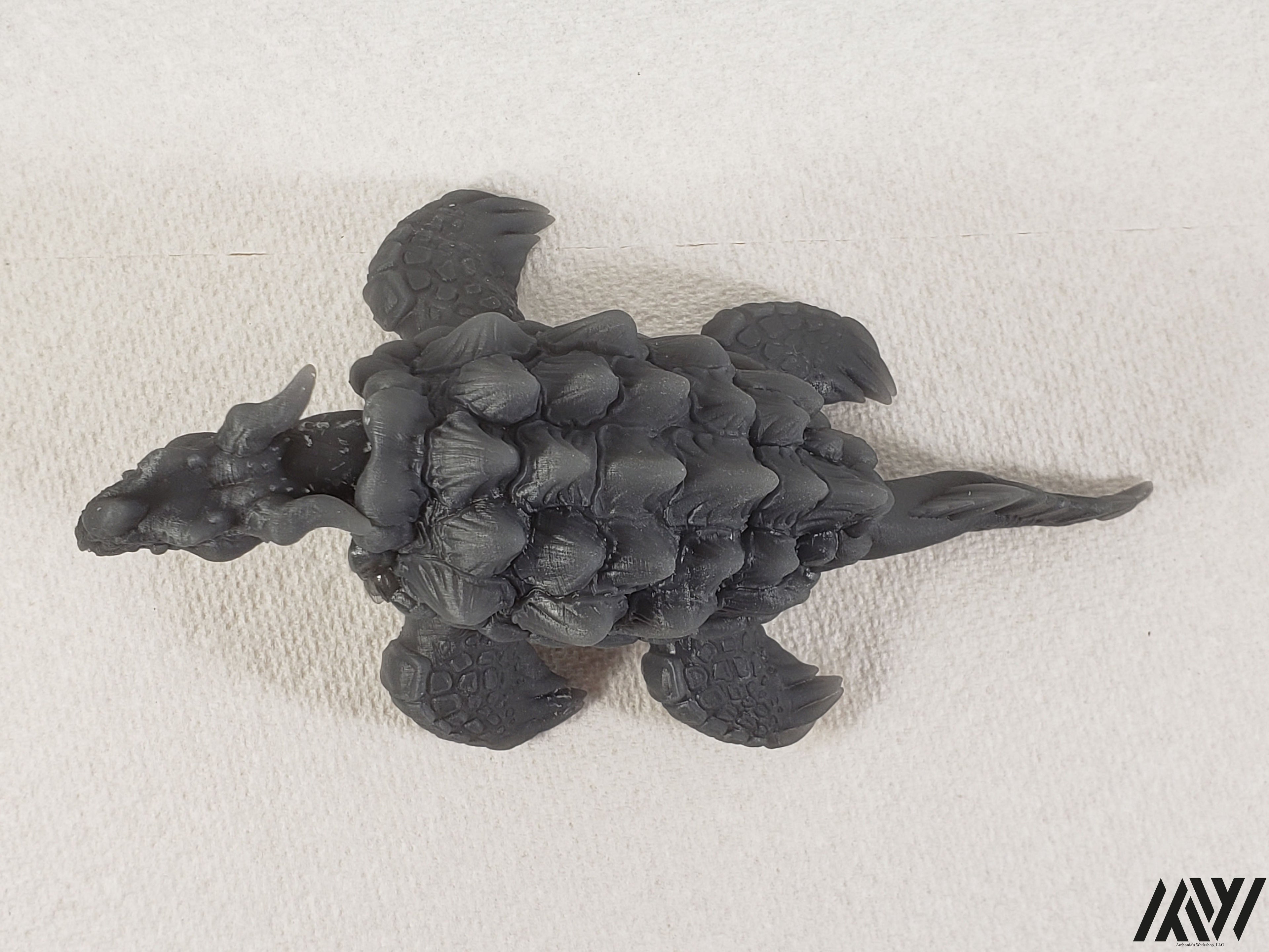 Dragon Turtle 1