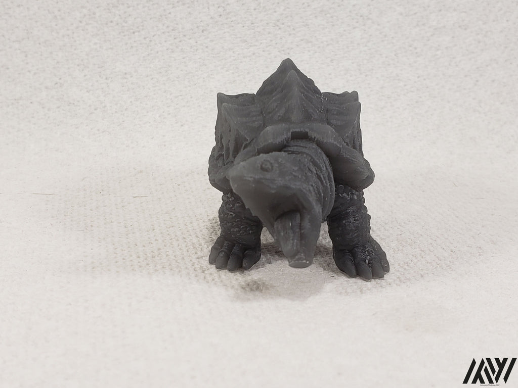 Snapping Turtle 2