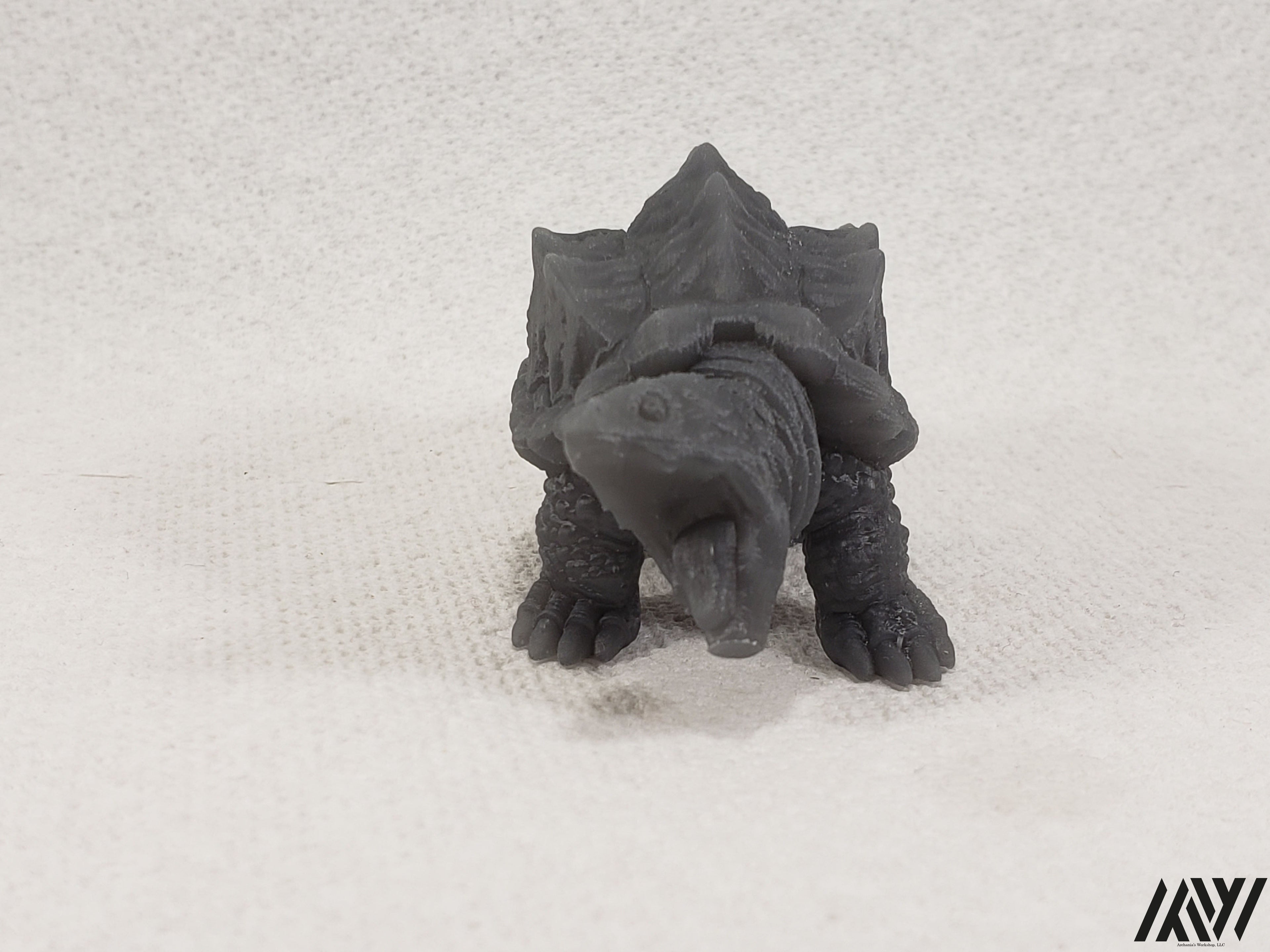 Snapping Turtle 2