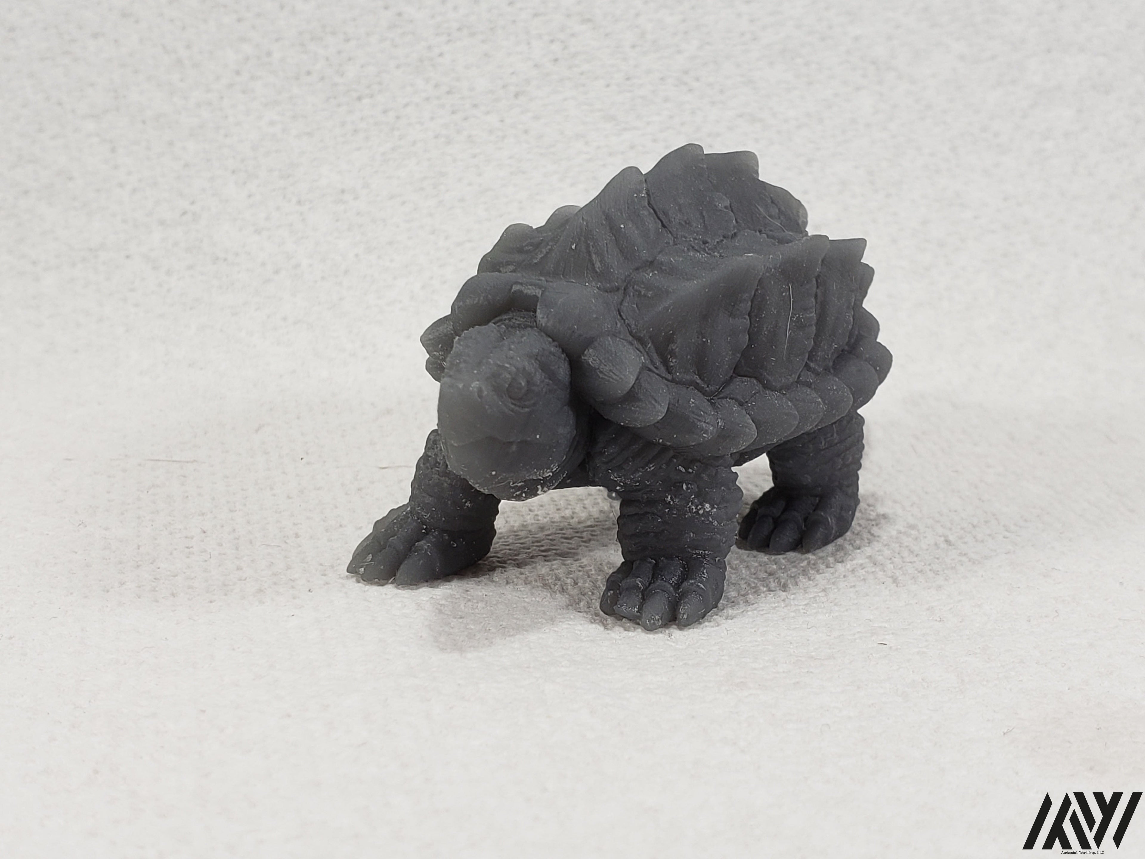 Snapping Turtle 1