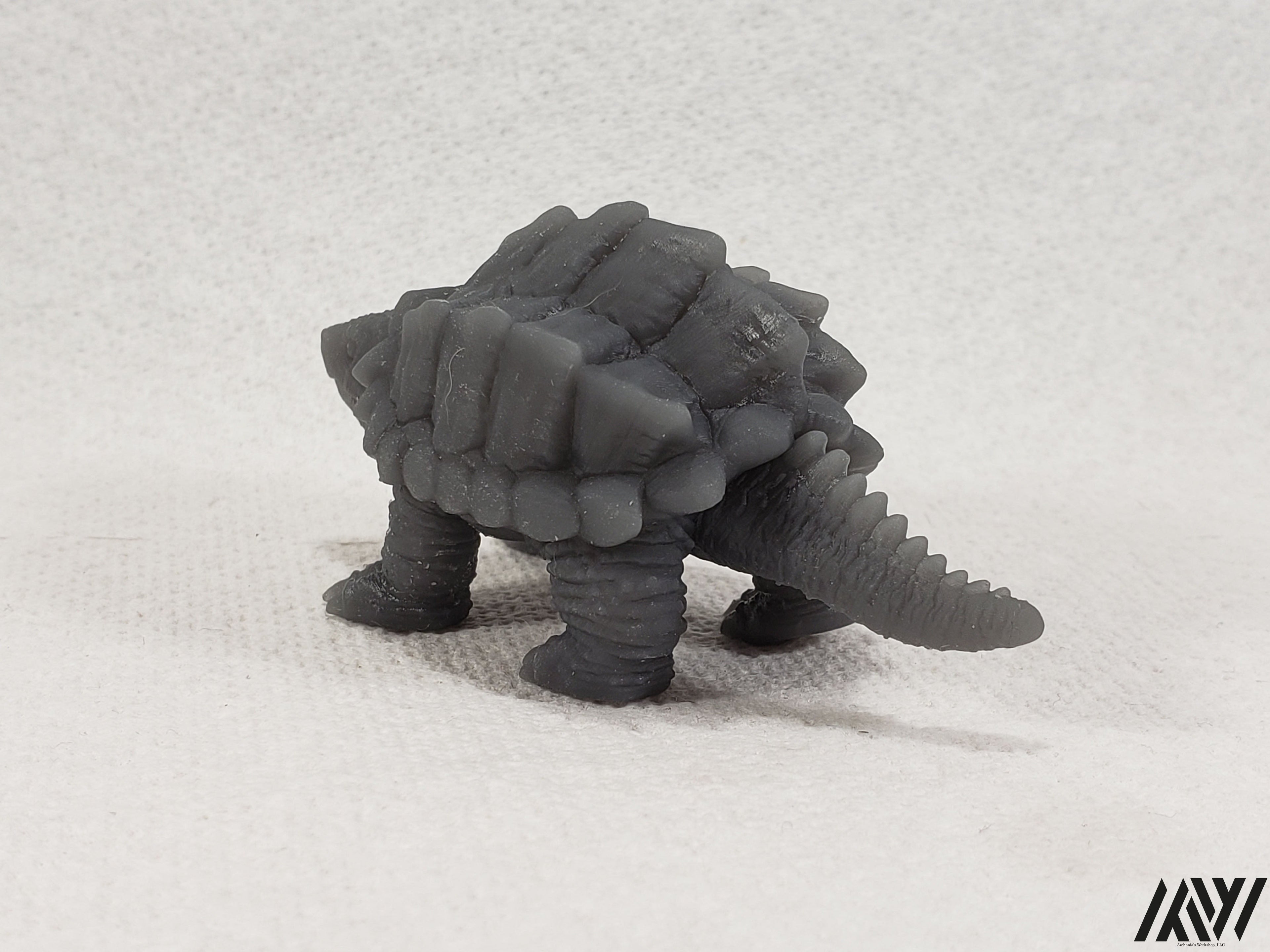 Snapping Turtle 1