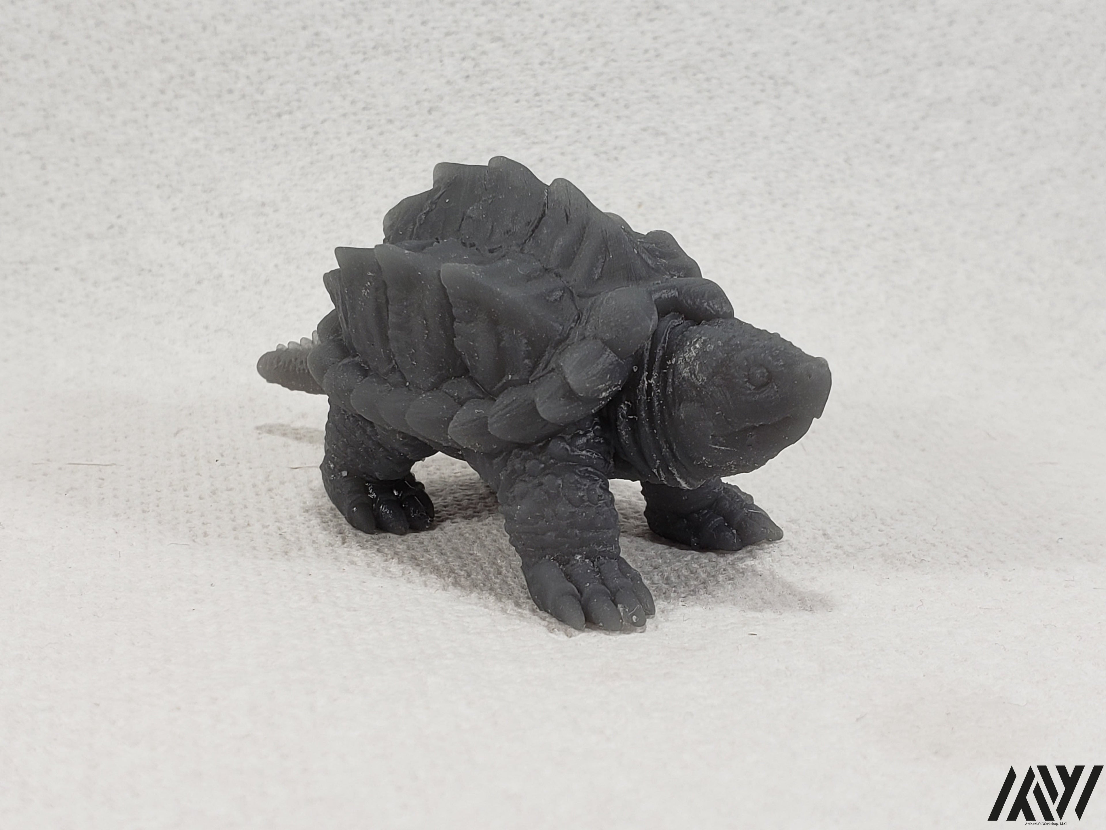 Snapping Turtle 1