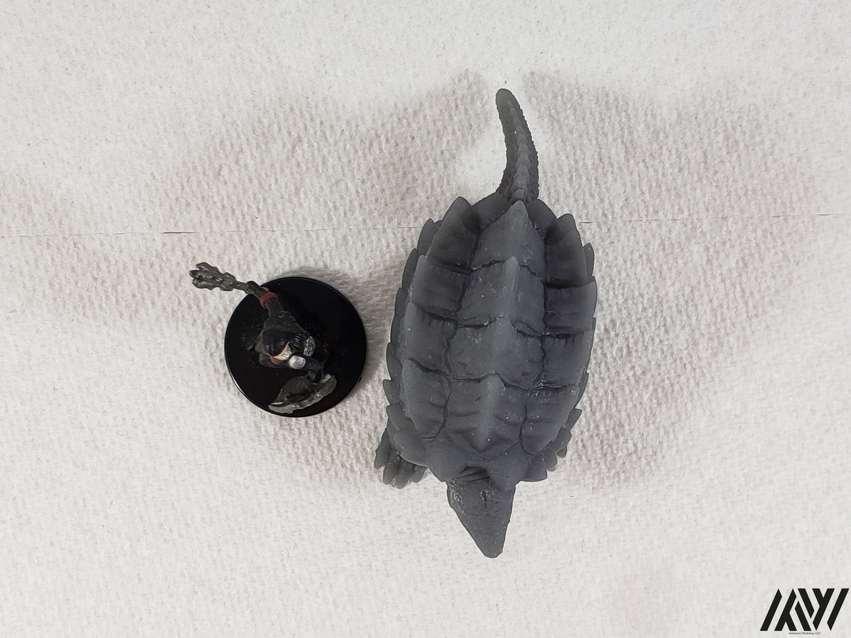 Snapping Turtle 1