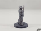 Town Guard 2