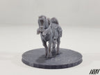 Horse B