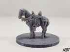 Horse B