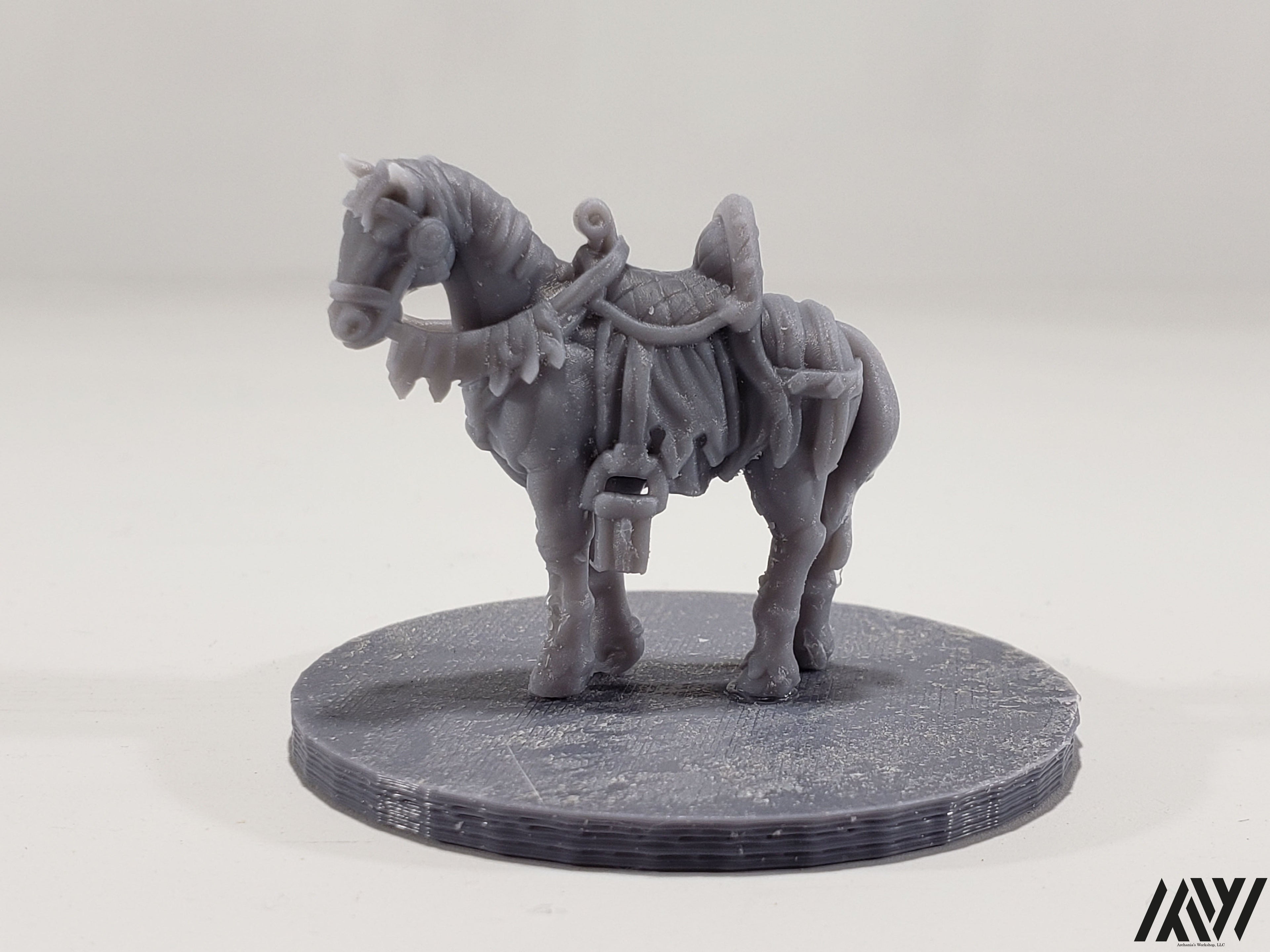Horse B