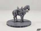 Horse B