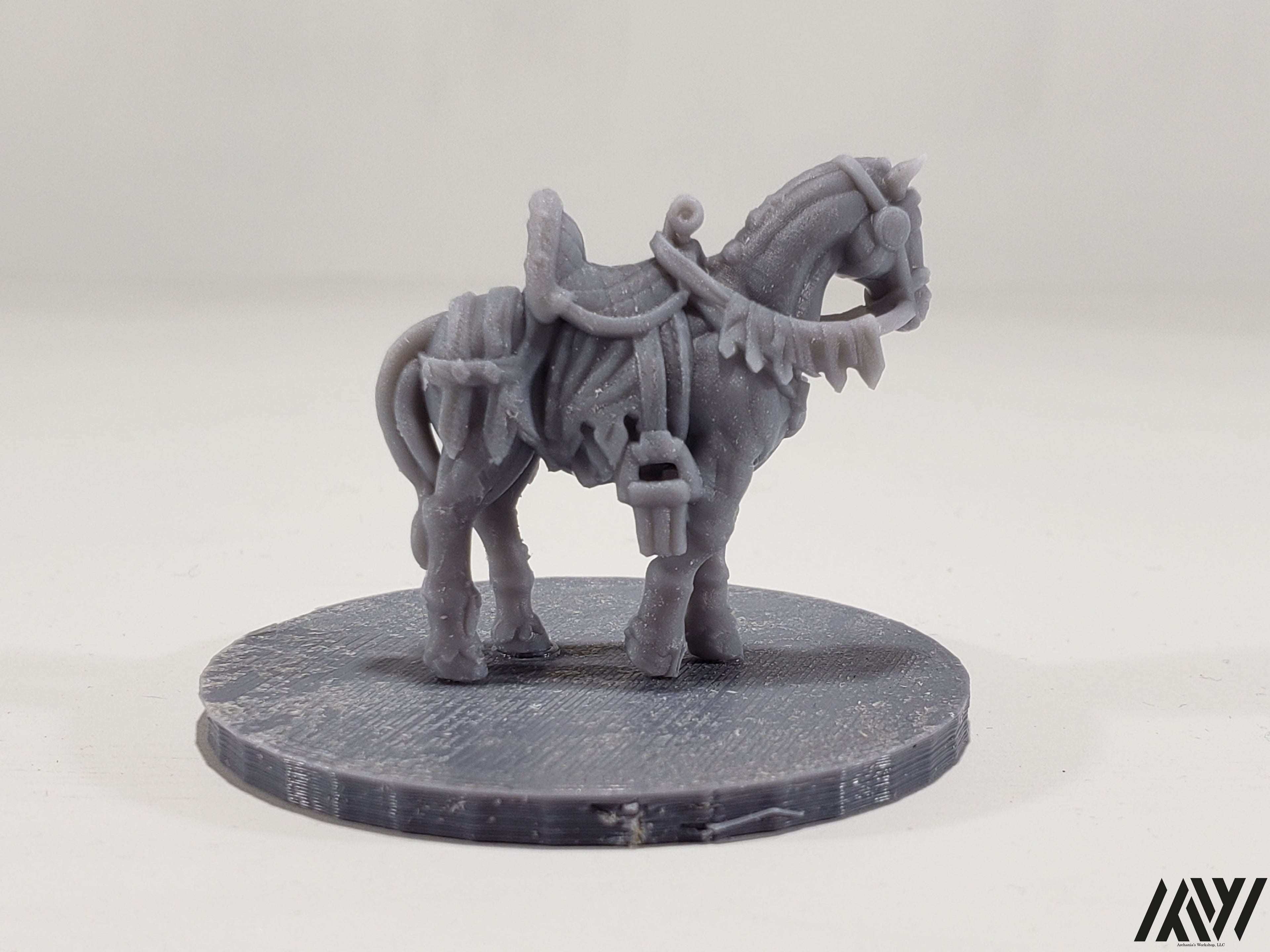 Horse B