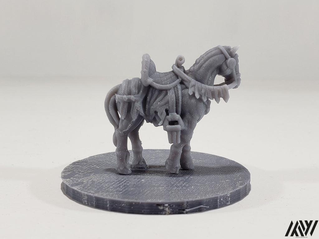 Horse B