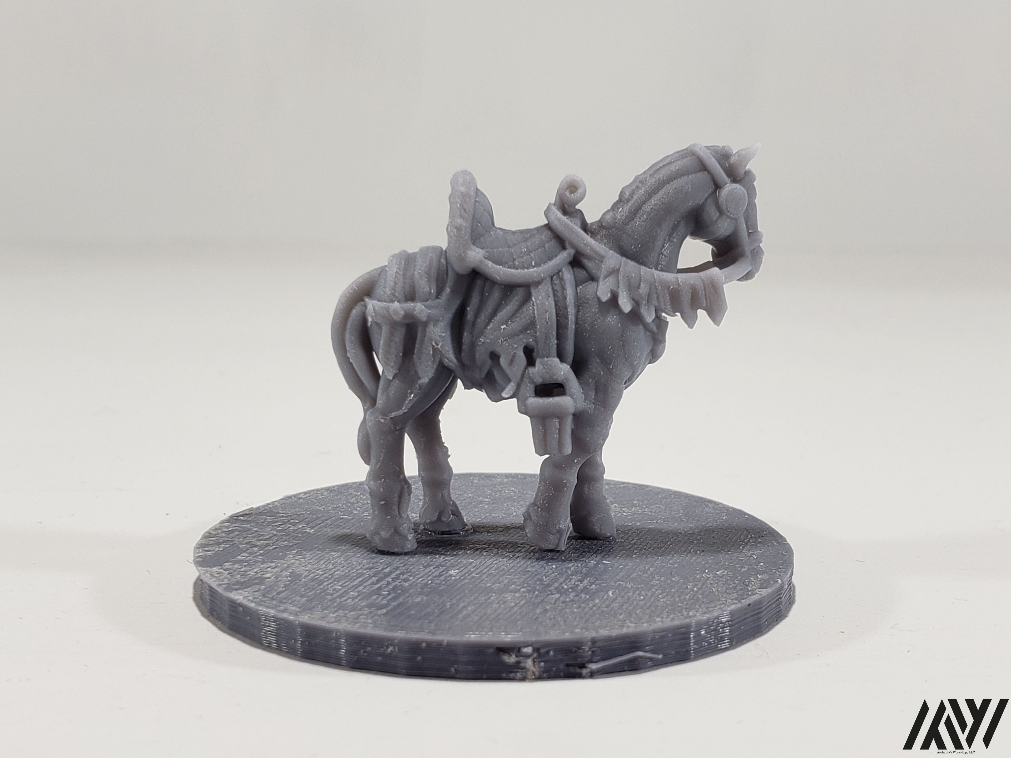 Horse B