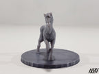 Horse E