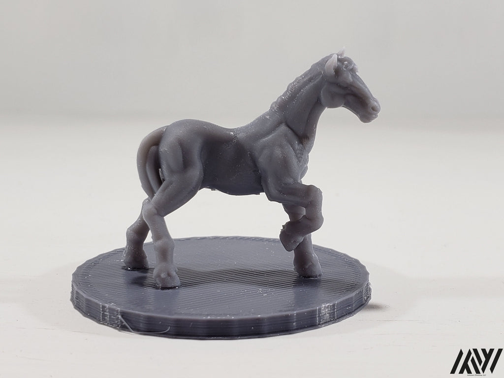 Horse E