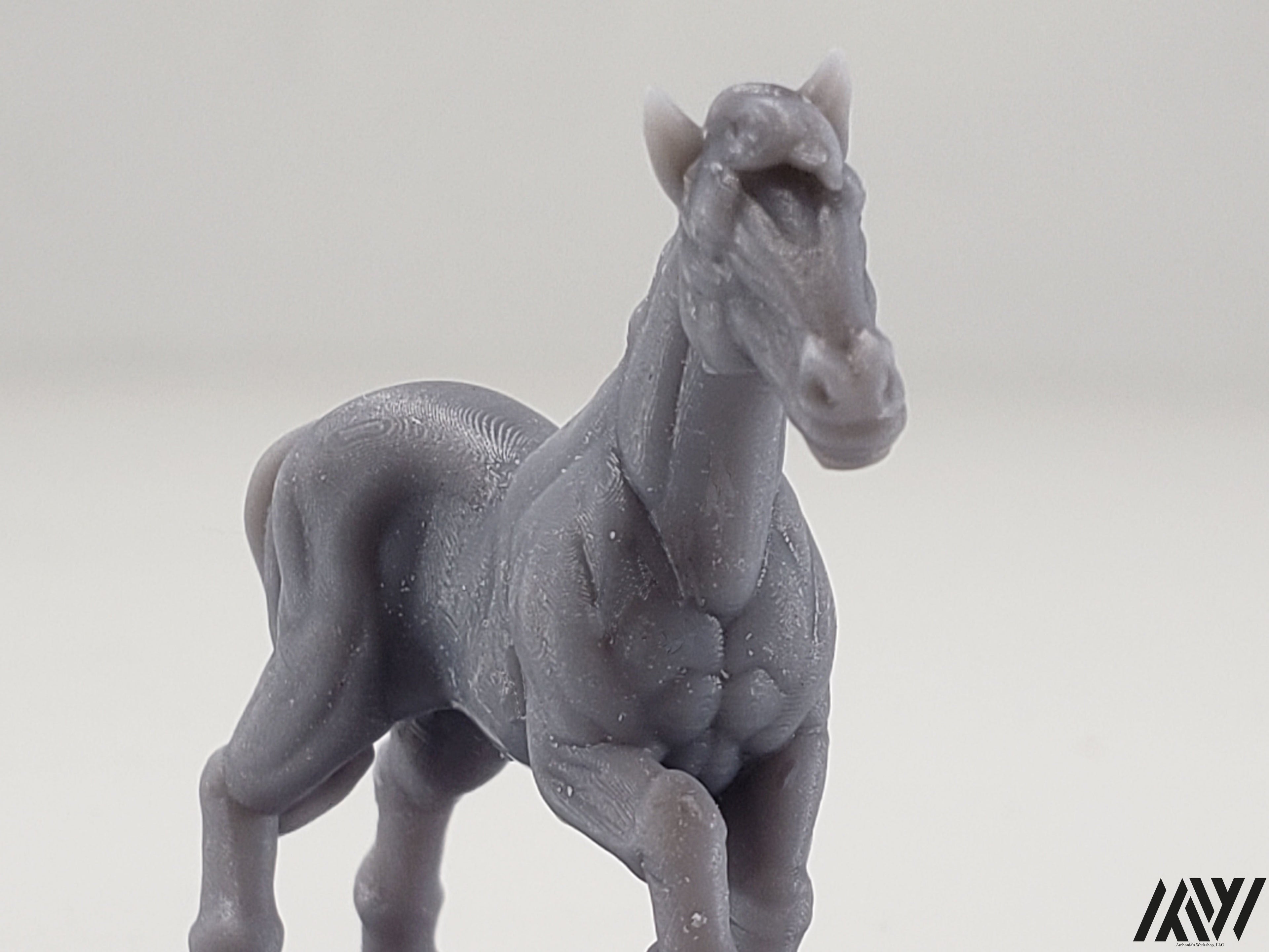 Horse E