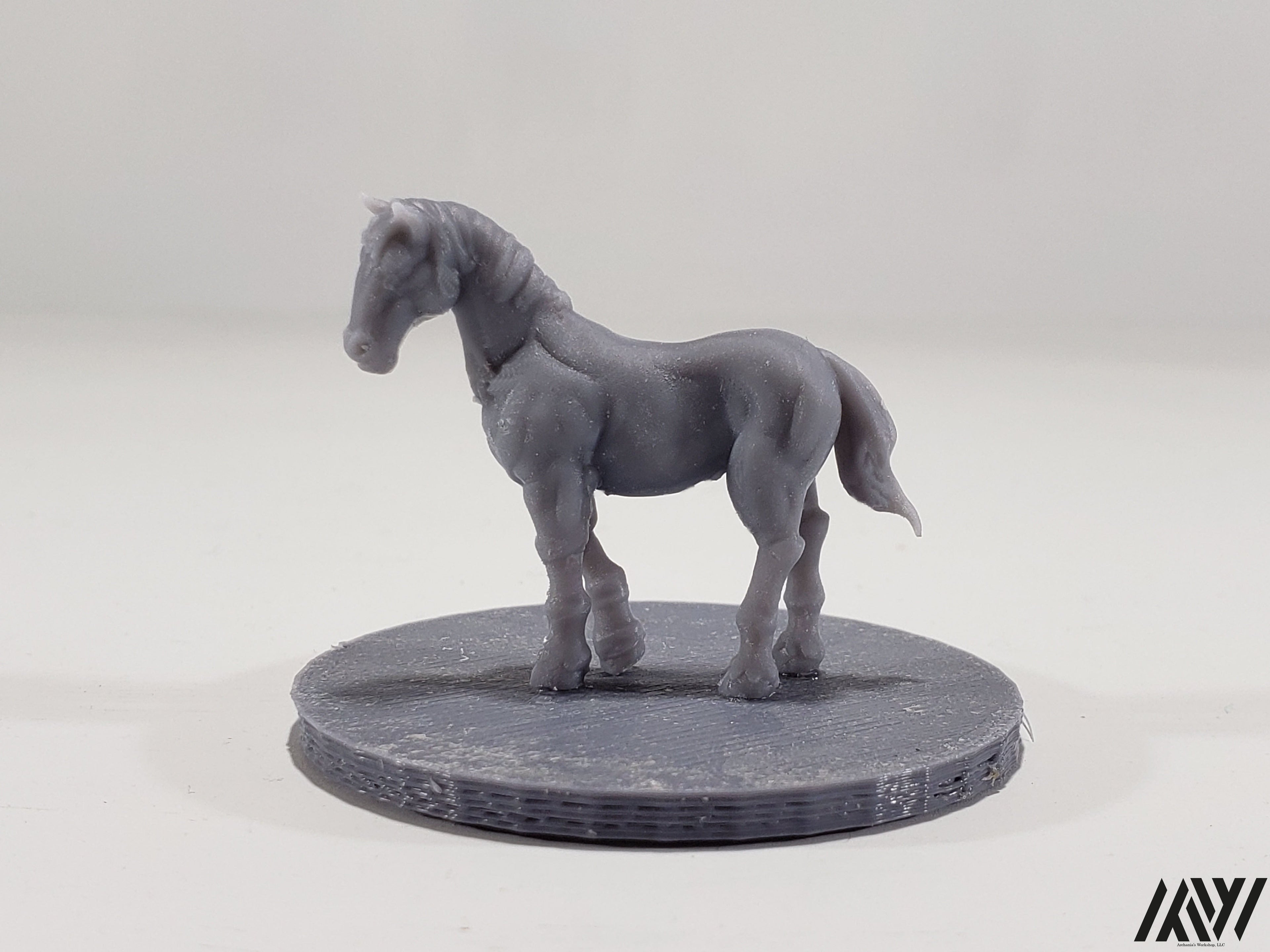 Horse F