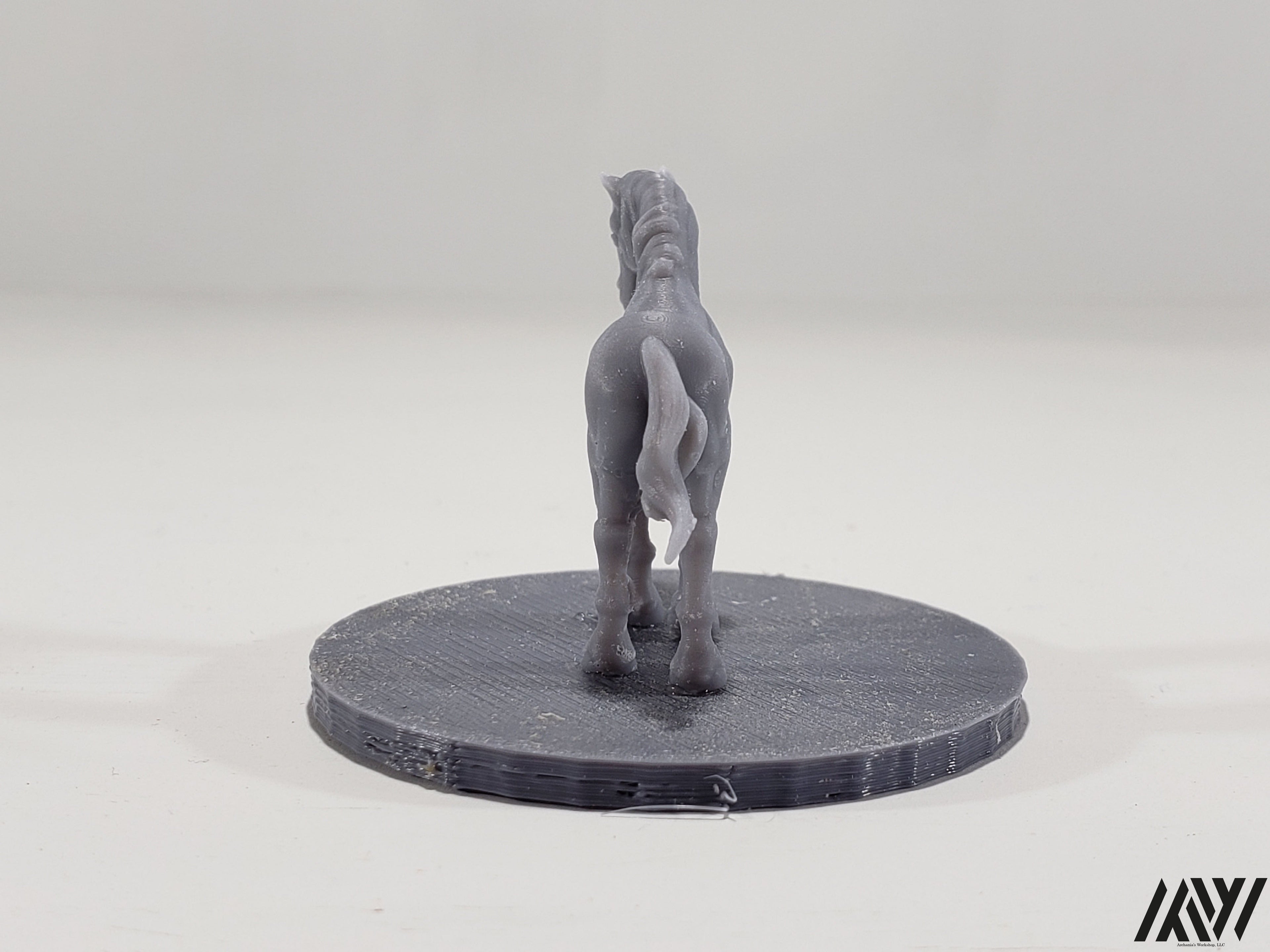 Horse F