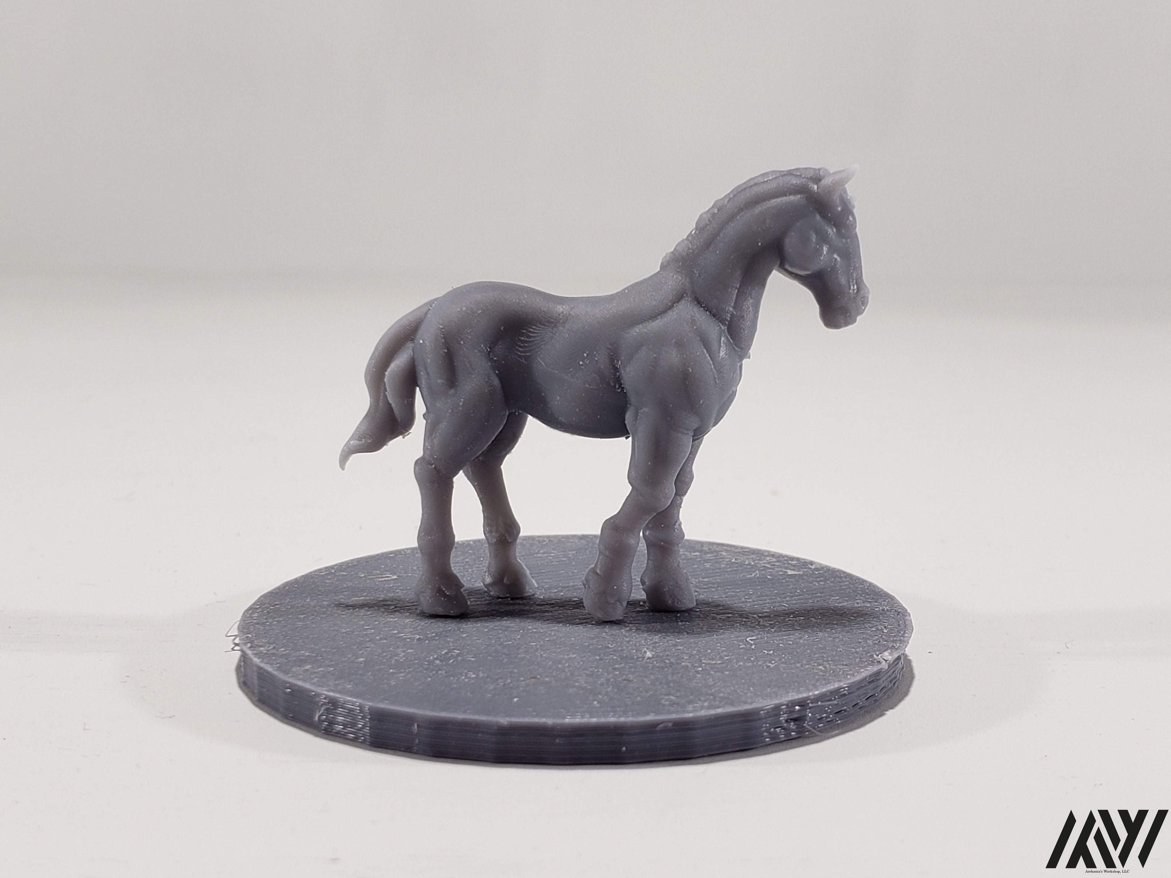 Horse F