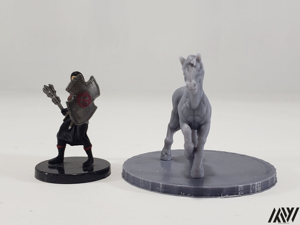 Horse E