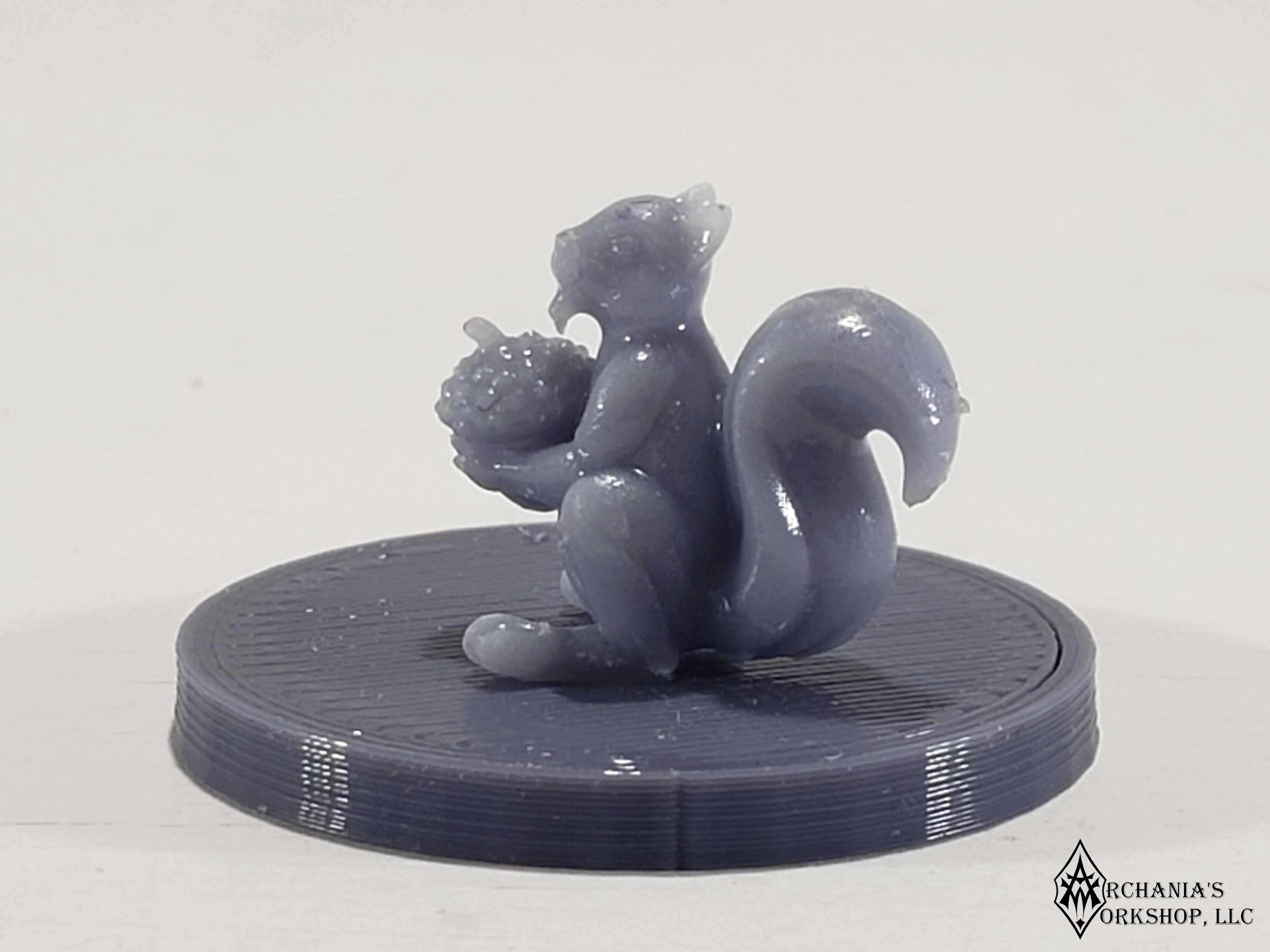 Squirrel