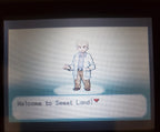 Pokemon Sweet Version GBA ROM Hack Video Game Custom Gameboy Advance