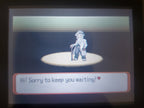 Pokemon Victory Fire GBA ROM Hack Video Game Custom Gameboy Advance