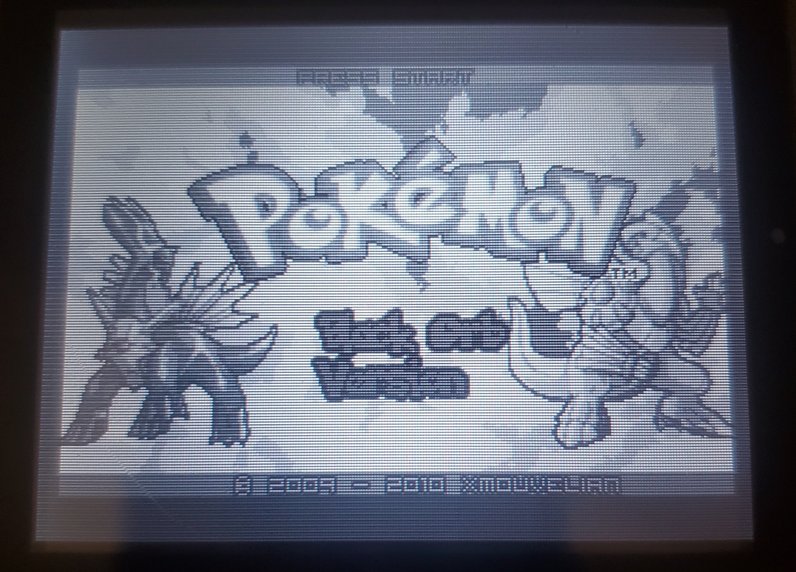 Pokemon Black Orb GBA ROM Hack Video Game Custom Gameboy Advance