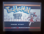 Pokemon Touhou Another World GBA ROM Hack Video Game Gameboy Advance