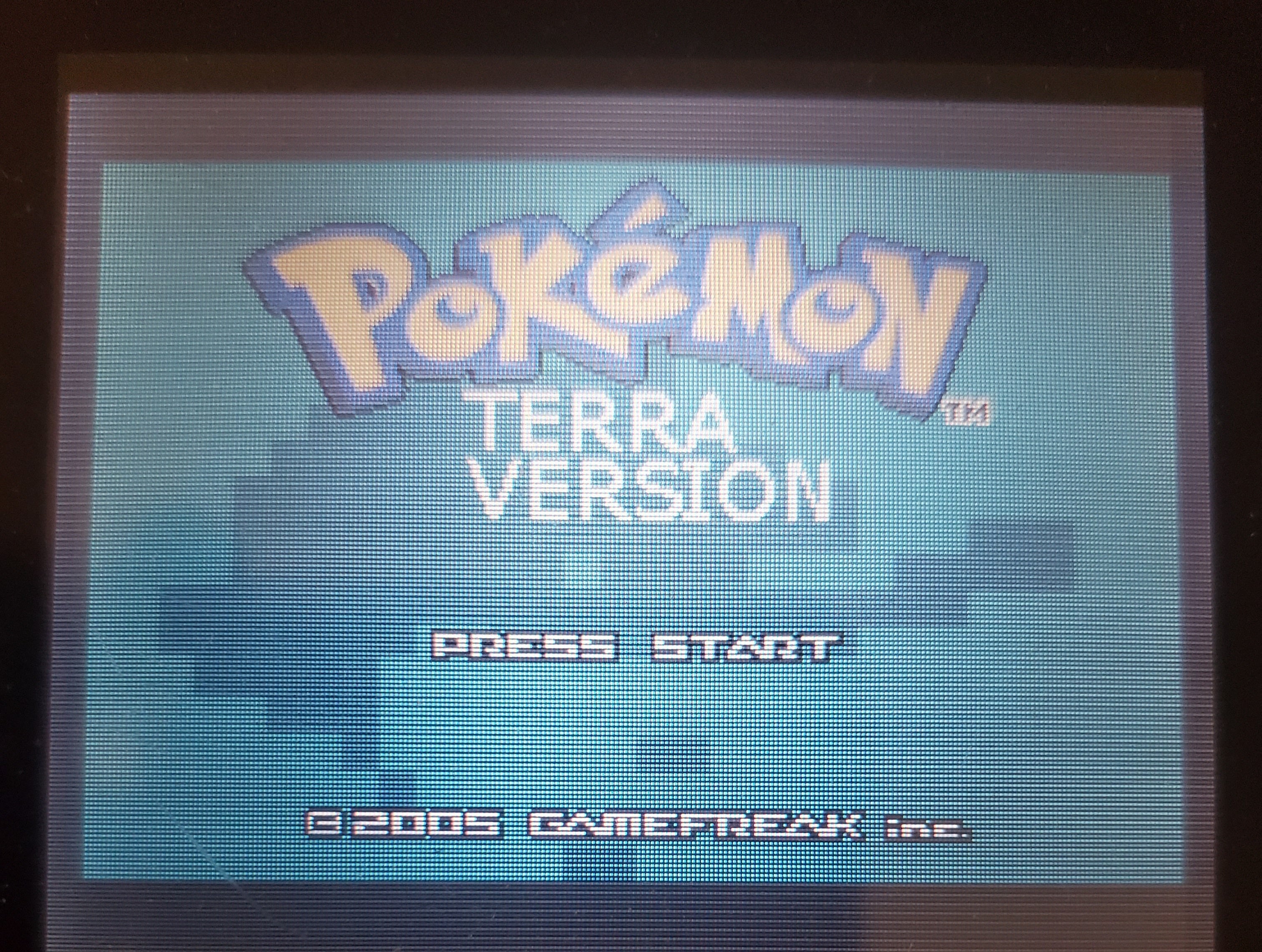 Pokemon Terra Ruby GBA ROM Hack Video Game Custom Gameboy Advance