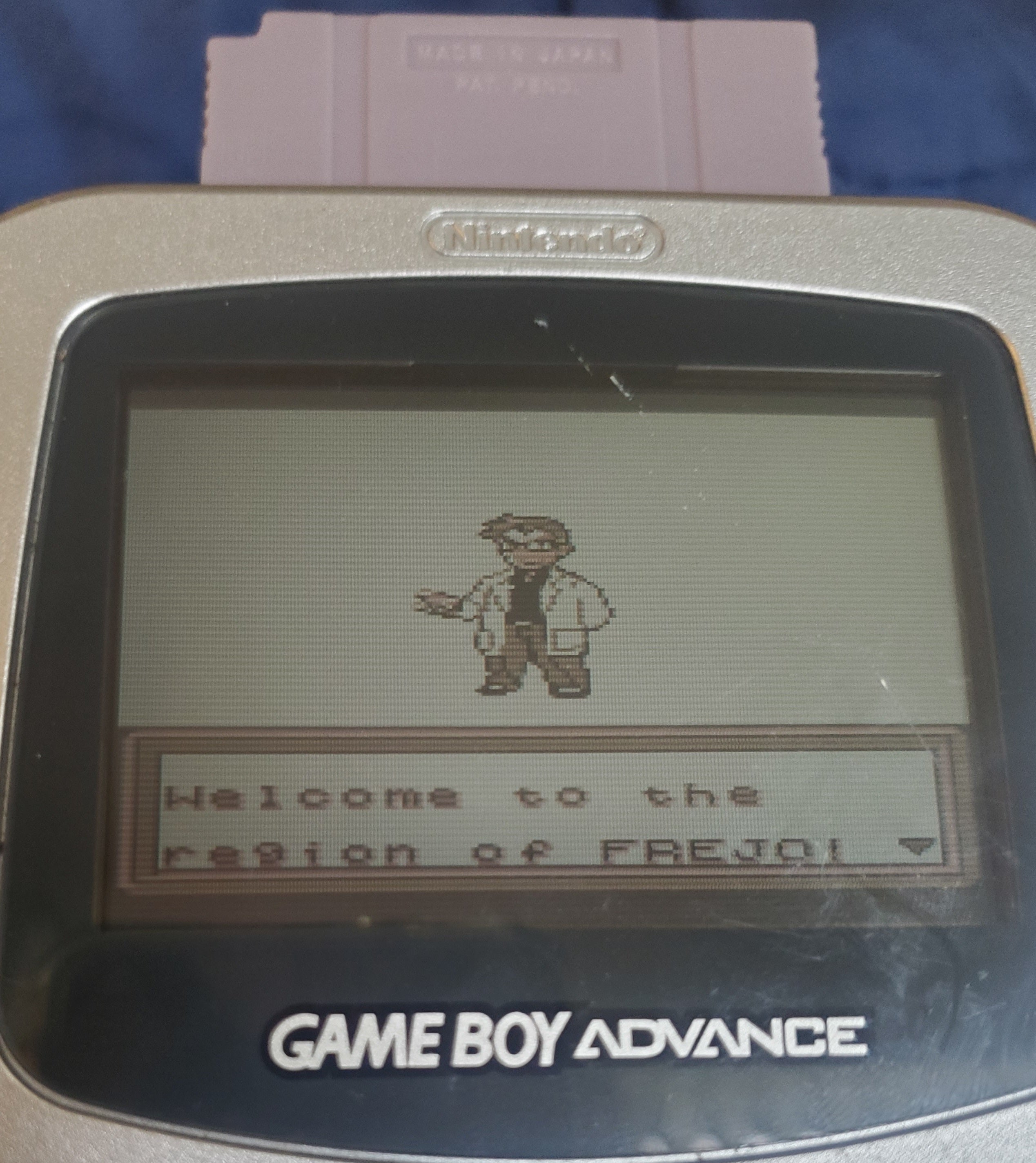 Pokemon Grape GBC Video Game Cartridge Gameboy Color ROM Hack