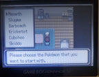 Pokemon R.O.W.E GBA Custom Pokemon ROM Hack Video Game Boy Advance