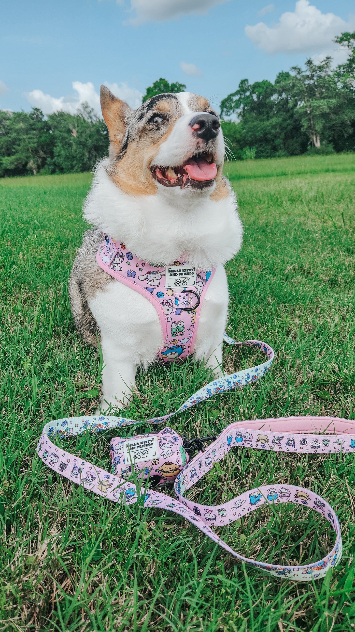 Dog Leash - Hello Kitty® & Friends Flower Festival