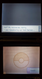 Pokemon GarbageGold Nintendo DS Custom ROM Hack Video Game Cartridge