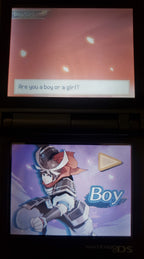 Pokemon Conquest Twin Dragons Nintendo DS Custom ROM Hack Video Game