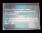 Pokemon FolloWing Renegade Platinum NDS Game Nintendo DS ROM Hack
