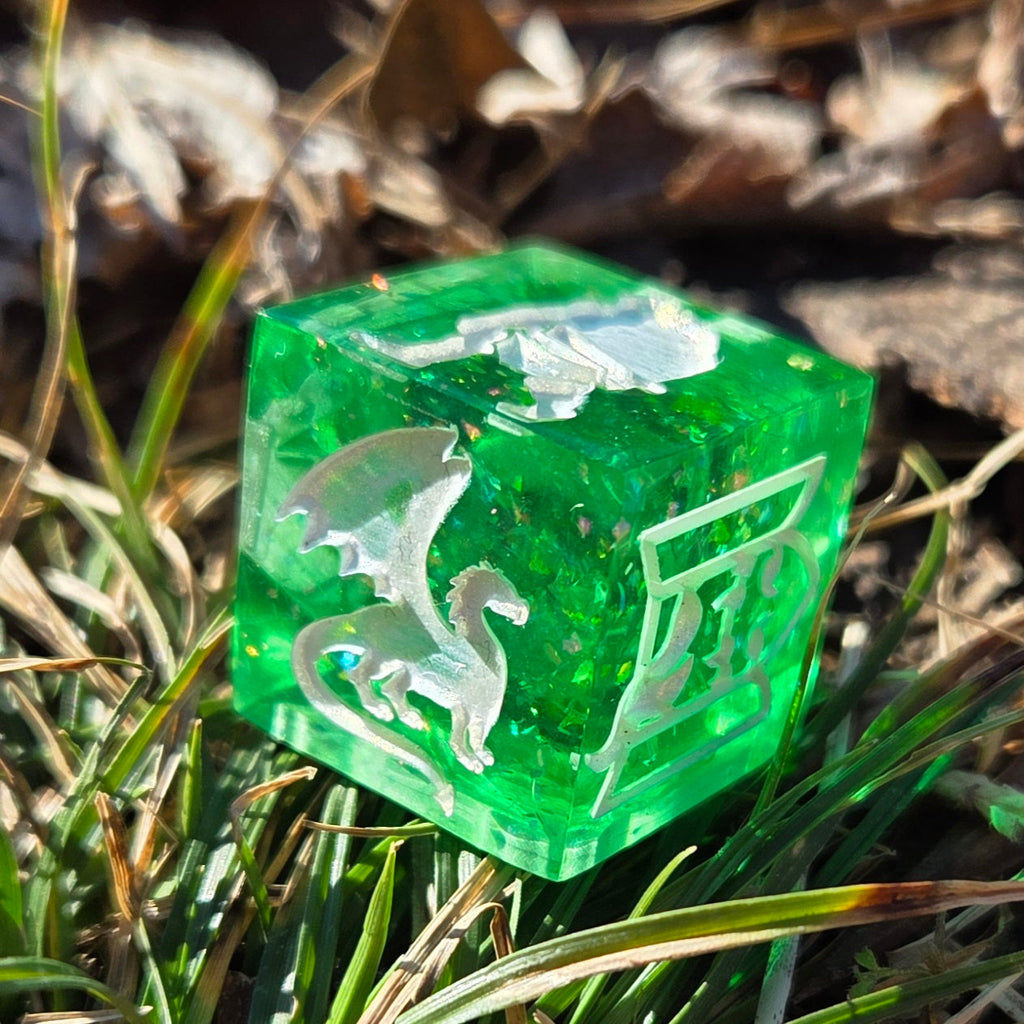 Dungeon Master DM Random Creature/Monster Encounter 20mm Oversized D6 TTRPG Gaming Dice
