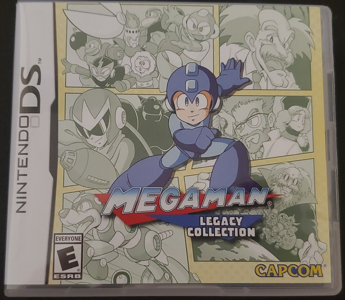 Nintendo DS Video Game Cartridge Collection