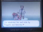 Pokemon Sako GBA ROM Hack Video Game Custom Gameboy Advance