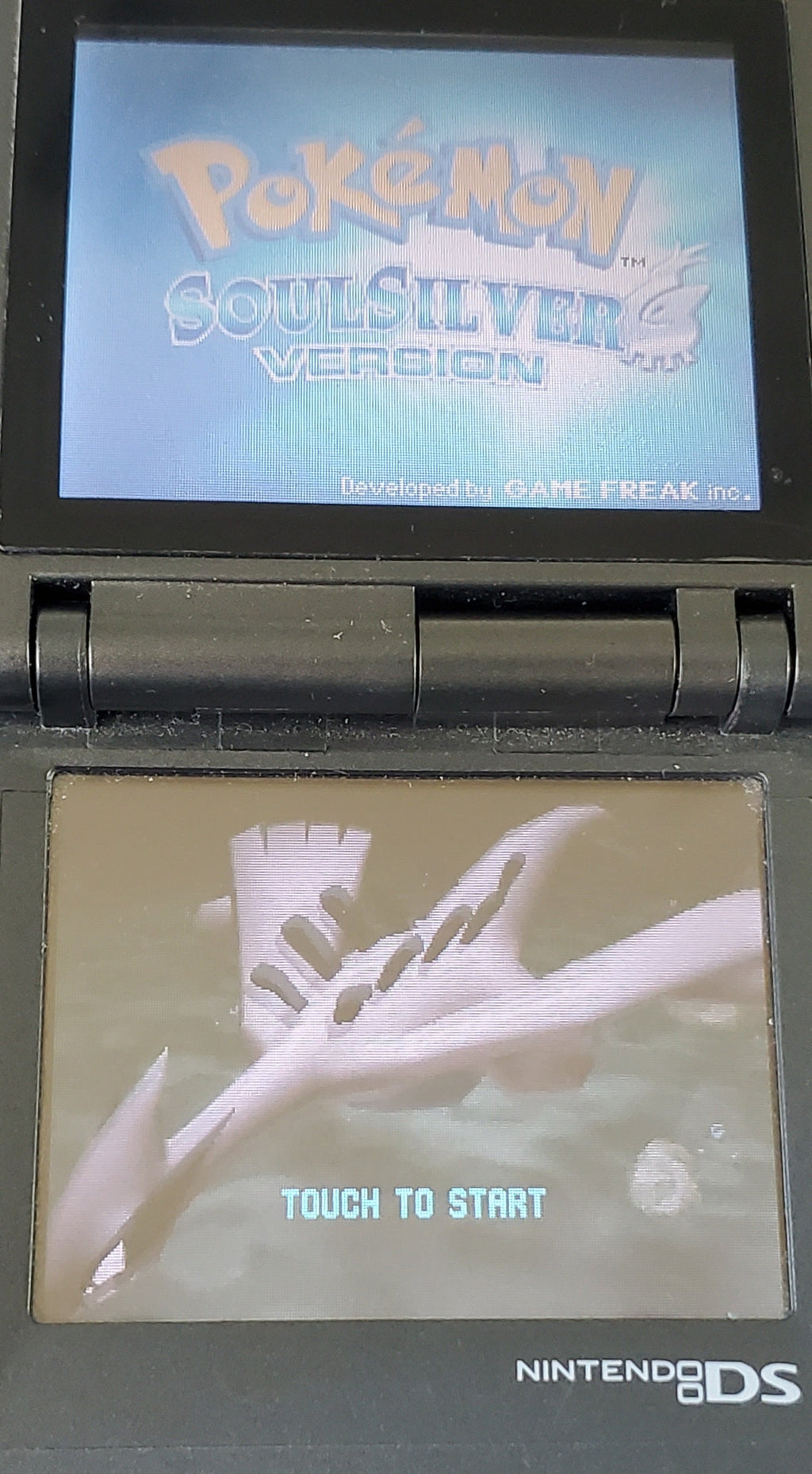 Pokemon Storm Silver NDS Nintendo DS Custom ROM Hack Video Game