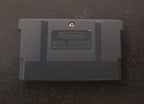 Pokemon Silver Rival GBA ROM Hack Video Game Boy Advance