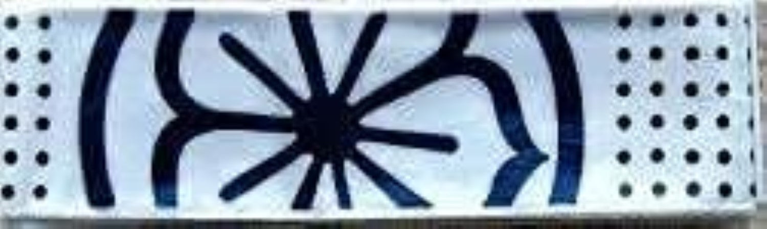 Karate Kid Headband