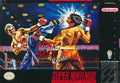Best of the Best: Championship Karate (Super Nintendo) - Game Manual Only