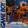 Best of the Best Championship Karate (Gameboy Color) - Game Manual Only