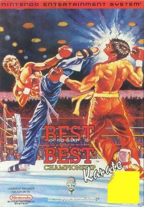 Best of the Best: Championship Karate (Nintendo NES) - Game Manual Only