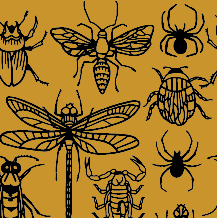 Creepy Crawlies Crew Socks - 